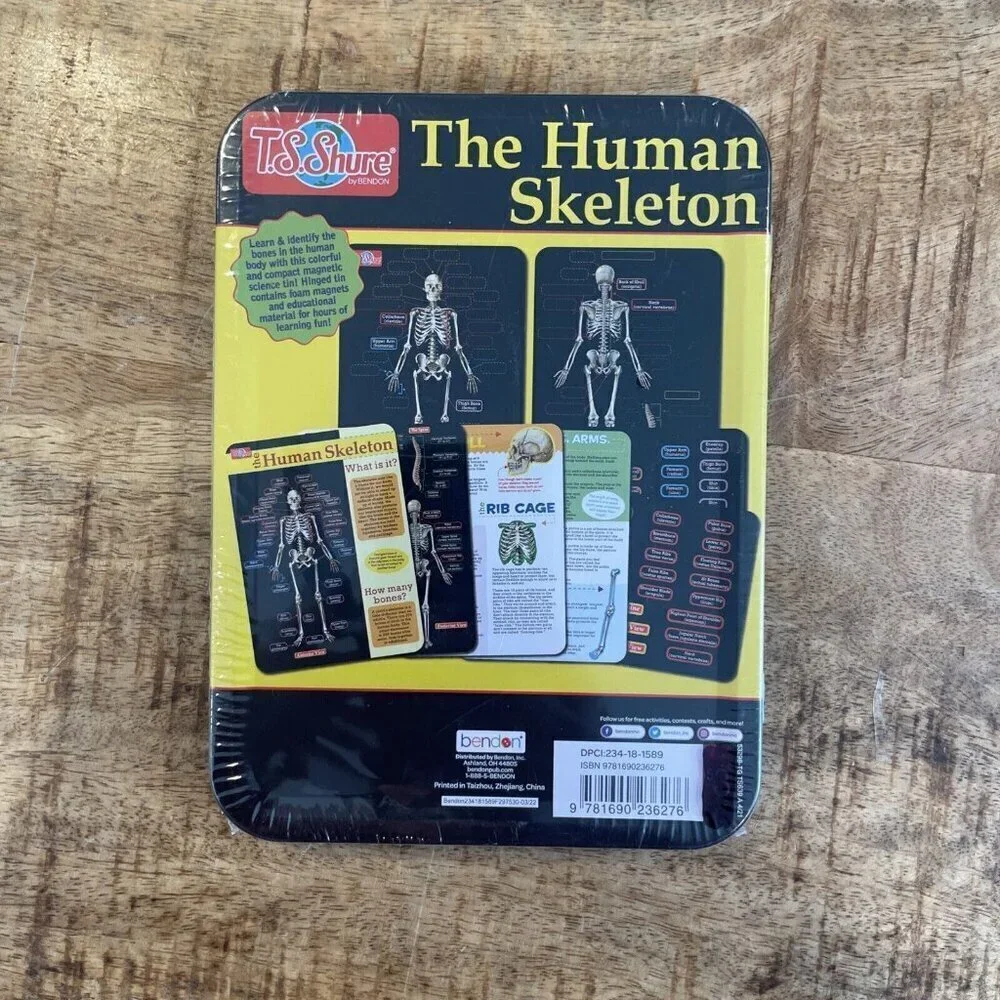 TS Shure The Human Skeleton Magnetic Science Tin Stem Activity Learning Bones